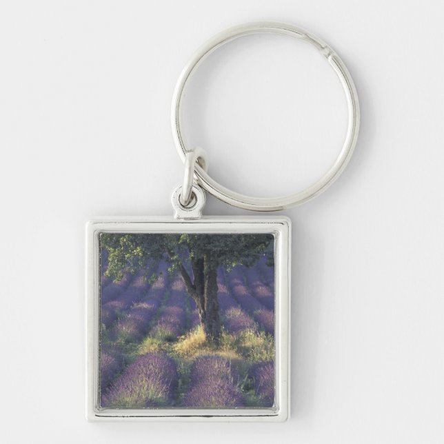 Llavero Europa, Francia, Provenza, Sault, Lavanda (Frente)