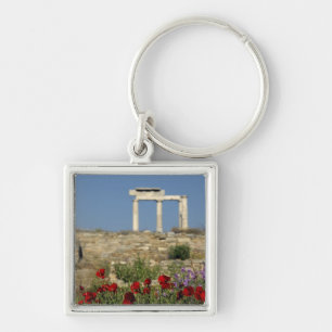 Llavero Europa, Grecia, Cícladas, Delos. Ruinas de column