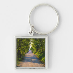 Llavero Europa, Italia, Toscana, carretera arbolada