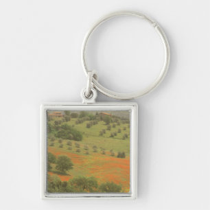 Llavero Europa, Italia, Toscana, Val D'Orcia, Monte