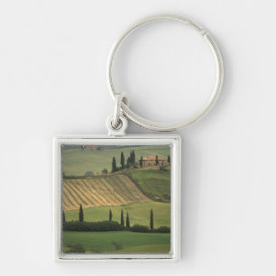 Llavero Europa, Italia, Toscana, Val d'Orcia, Toscano