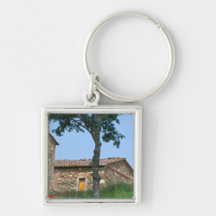 Llavero Europa, Italia, Toscana, villa abandonada en
