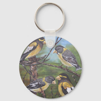 Llavero Evening Grosbeaks