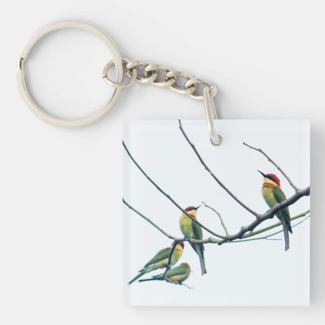 Llavero Exotic Indian kerala Bee-Eater Birds on Branch (Frente)