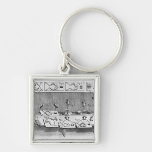 Llavero Experimento en ranas