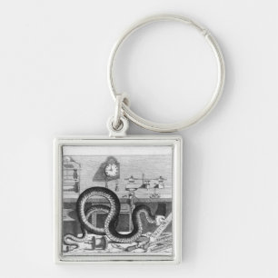 Llavero Fábula de la serpiente y de los ficheros