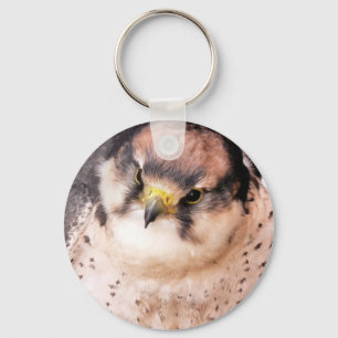 LLAVERO FALCON