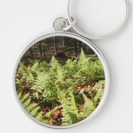 Llavero Fall Ferns