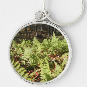 Llavero Fall Ferns