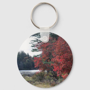 Llavero Fall Foliage Pond Nature Photography