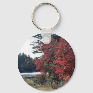 Llavero Fall Foliage Pond Nature Photography