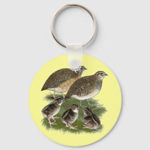 Llavero Familia de codornices Coturnix