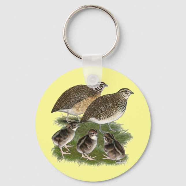 Llavero Familia de codornices Coturnix (Anverso)