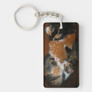 Llavero Familia de gatitos somnolientos