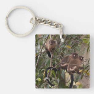 Llavero Familia de monos tití