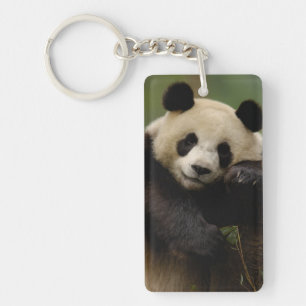 Llavero Familia del panda gigante (Ailuropoda melanoleuca)