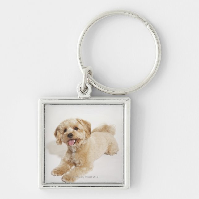 Llavero Familiaris del Canis (Frente)