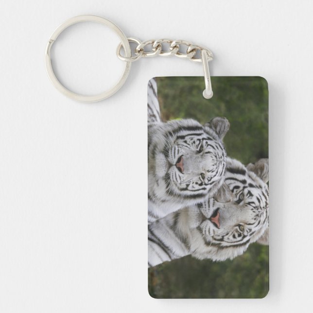 Llavero Fase blanca, tigre de Bengala, el Tigris (Frente)