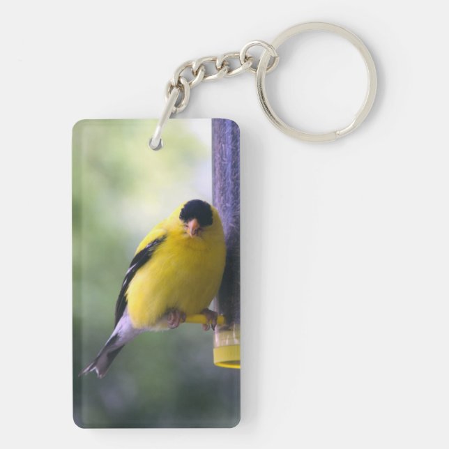 Llavero Fat Finch (Atrás)