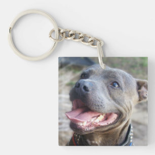 Llavero Feliz Staffordshire Bull Terrier,