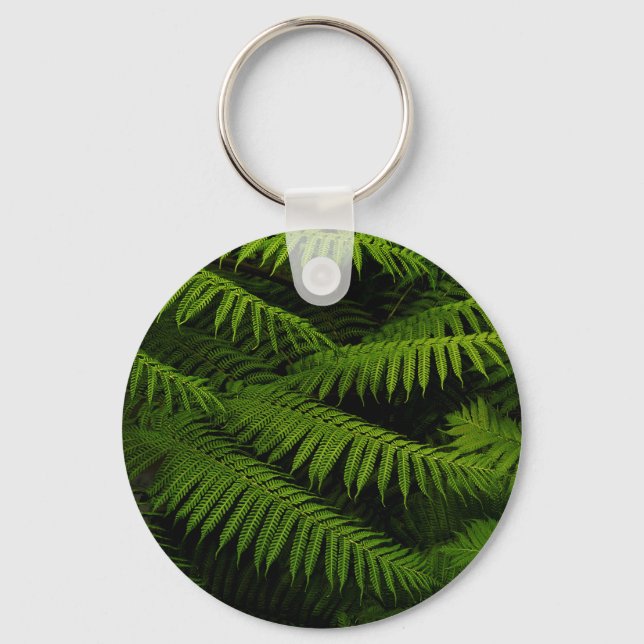 Llavero Ferns - Fotografía Bella Artes (Anverso)