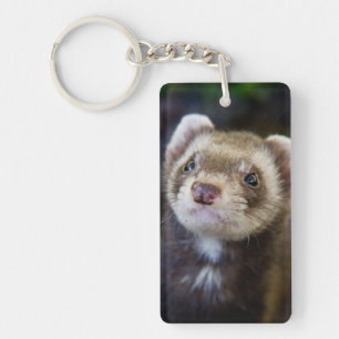 Llavero Ferret