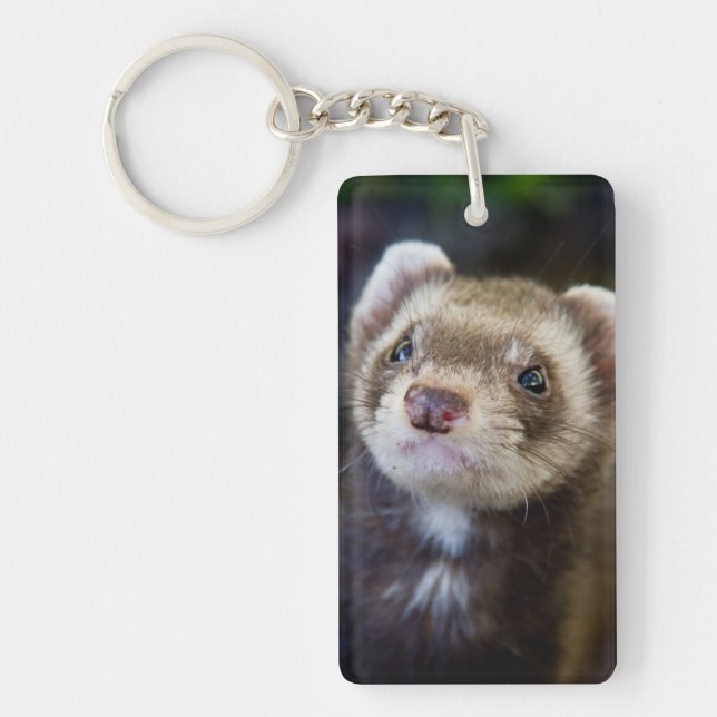Llavero Ferret (Frente)