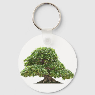 Llavero Ficus bonsai aislado