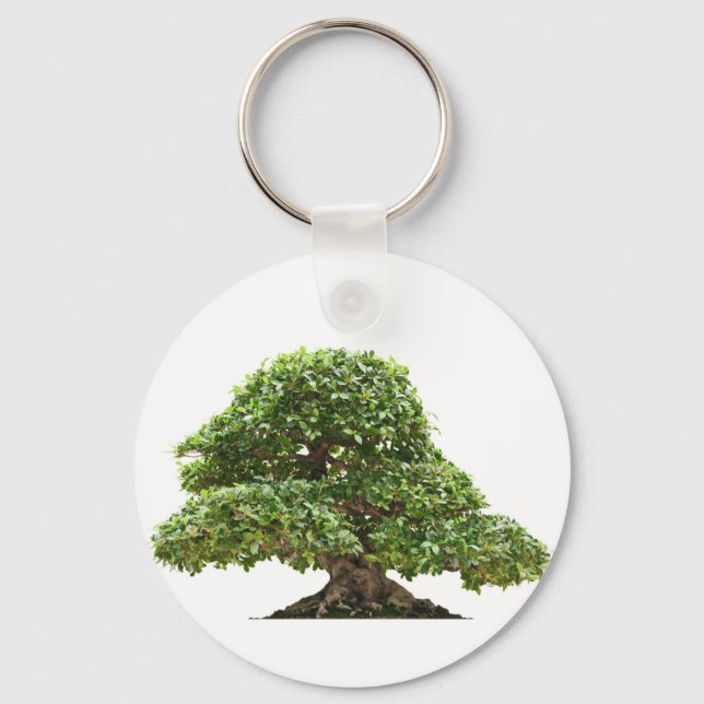 Llavero Ficus bonsai aislado (Anverso)