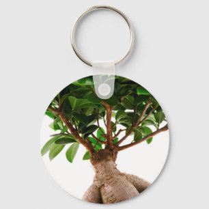 Llavero Ficus Ginseng