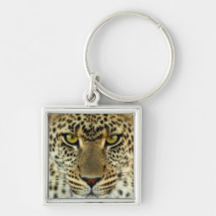 Llavero Fierce Leopard