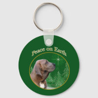 Fila Brasileiro