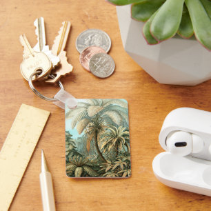 Llavero Filicinae por Ernst Haeckel, Plantas de helechos a