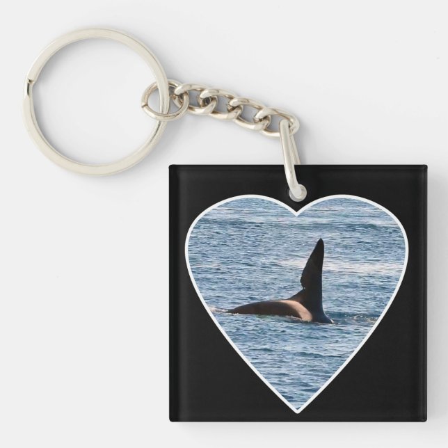 Llavero Fin de cometa de tiburón de "John Coe" Orca (Frente)