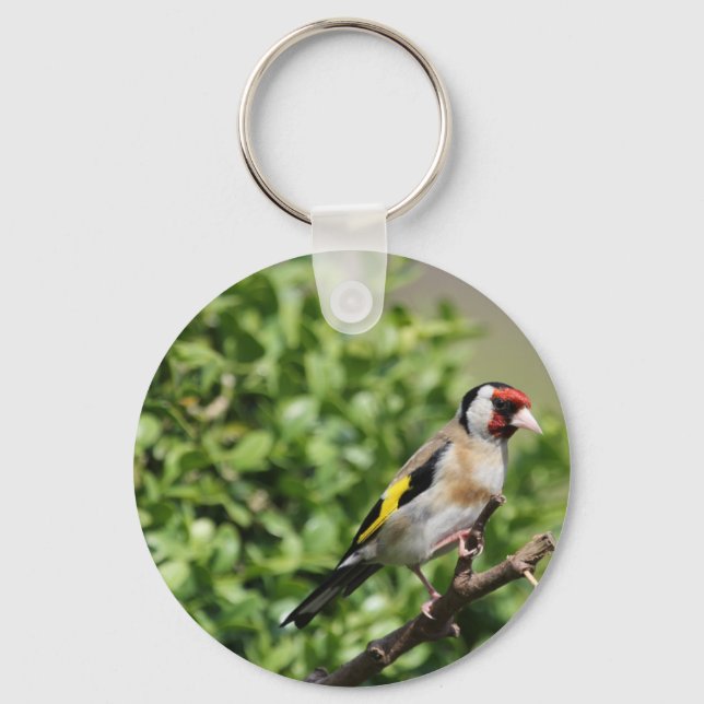 Llavero FInch (Anverso)