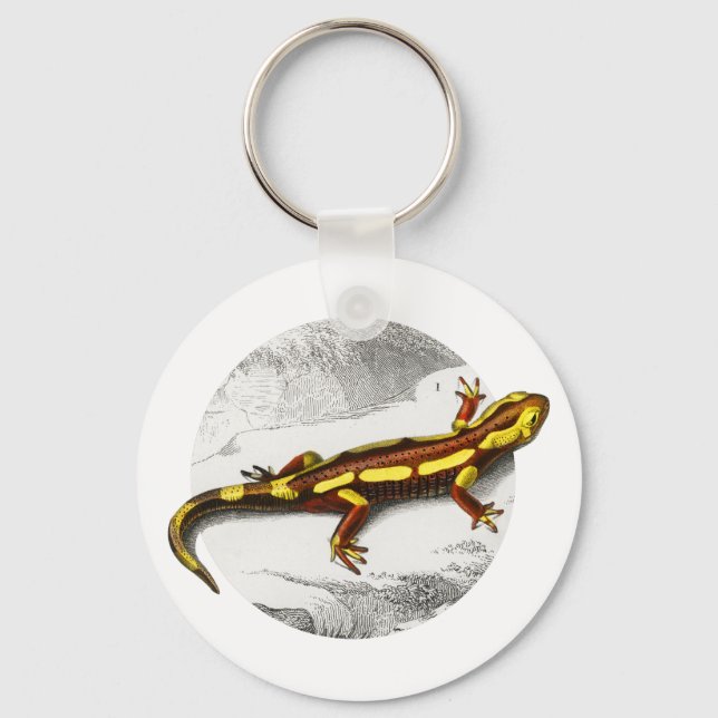 Llavero Fire Salamander - Salamandra (Anverso)