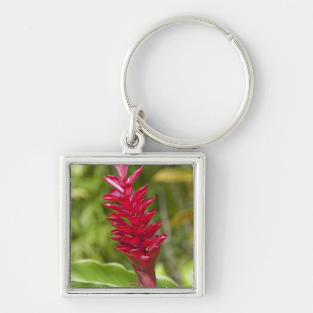 Llavero Fiyi, isla de Viti Levu. Flor. (Frente)
