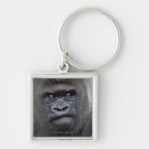 Llavero Flachlandgorilla, gorila del gorila,
