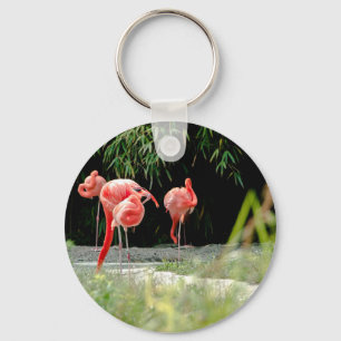 Llavero flamingo