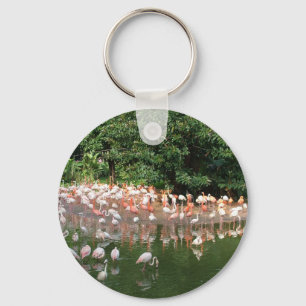 Llavero flamingo flock
