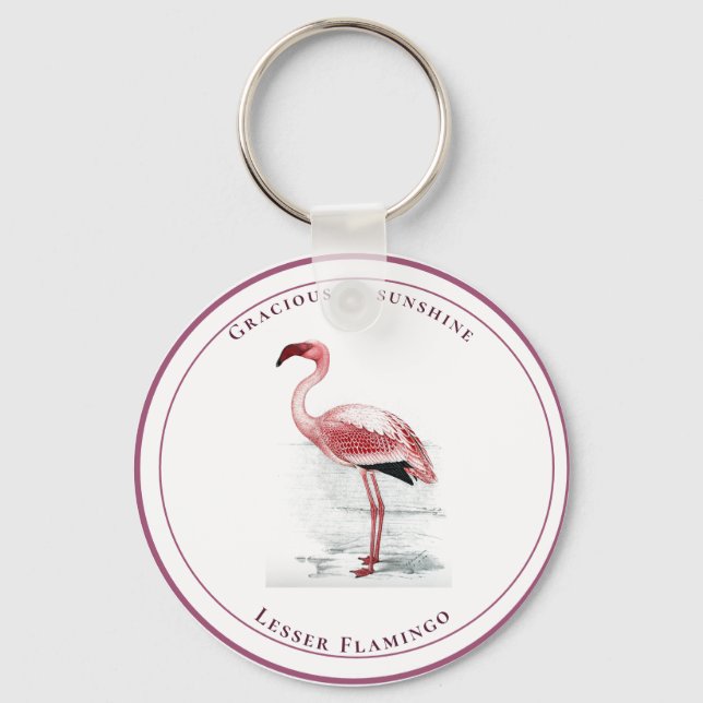 Llavero Flamingo Menor Vintage Gracioso como Sol (Anverso)
