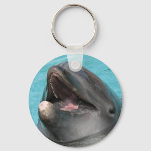 Llavero Flipper Keychain