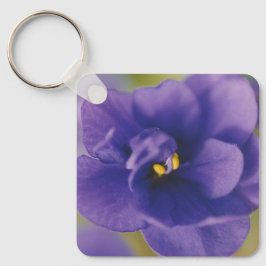 Llavero Flor azul floreciente de violeta Saintpaulia ampli