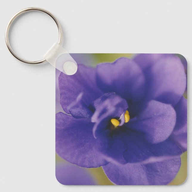 Llavero Flor azul floreciente de violeta Saintpaulia ampli (Anverso)