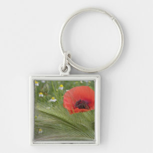 Llavero Flor de adormidera roja, Toscana, Italia
