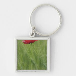 Llavero Flor de amapola roja entre cultivo de trigo, Tosca
