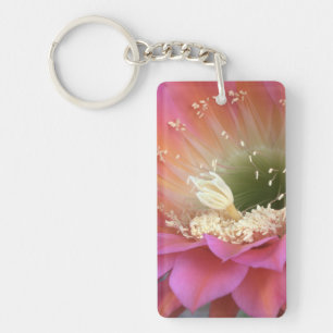 Llavero Flor de cactus rosado en el desierto