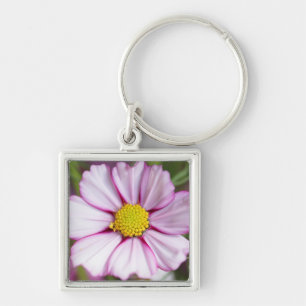 Llavero Flor de Cosmos (bidens formosa)