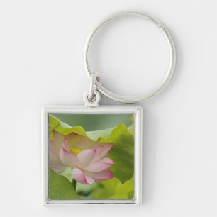 Llavero Flor de loto, Nelumbo nucifera, China