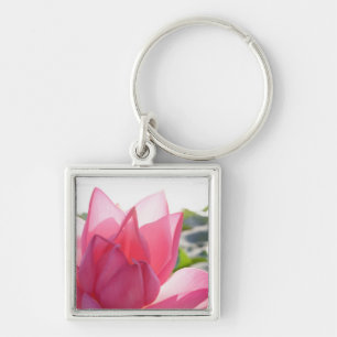 Llavero flor de loto [Nelumbo speciosum] en plena